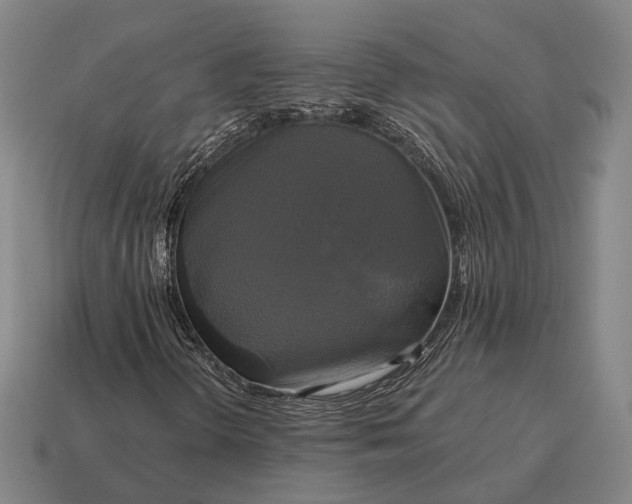 X0000115091298200911101515