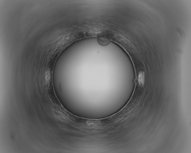 X0000115091299200911101515