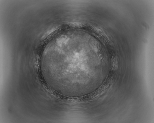 X0000115091301200911101515