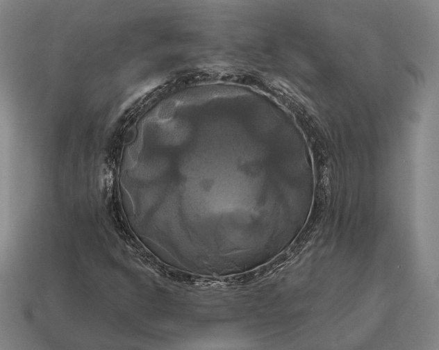 X0000115091302200911101515