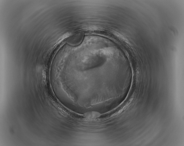 X0000115091305200911101515