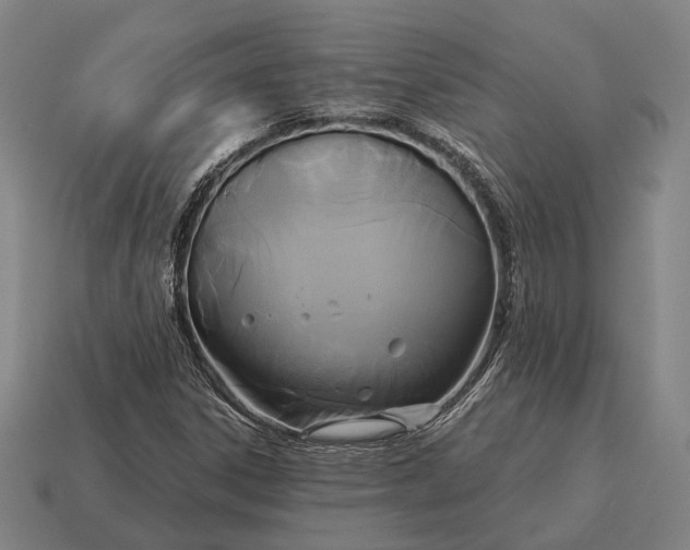 X0000115091306200911101515