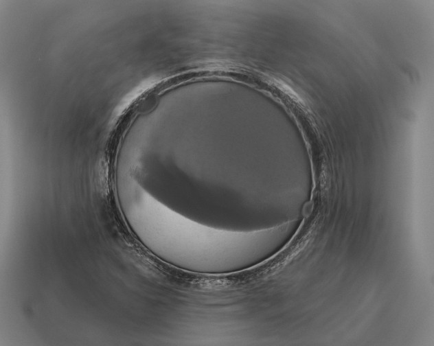 X0000115091310200911101515