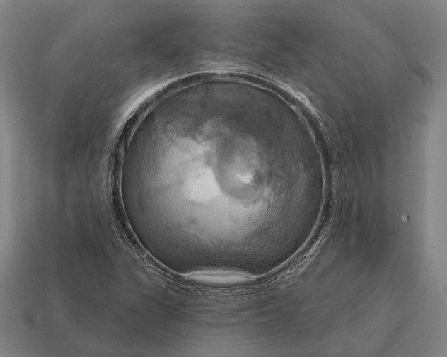 X0000115091311200911101515