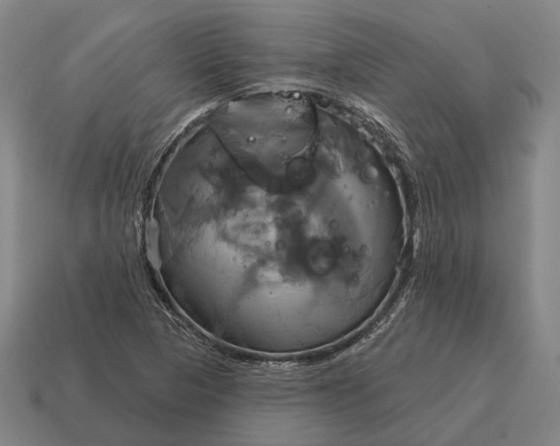 X0000115091313200911101515