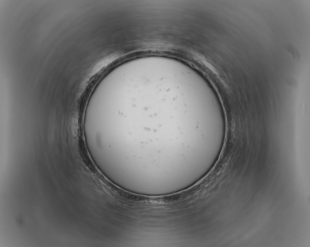 X0000115091315200911101515
