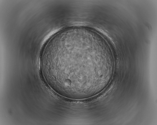 X0000115091317200911101515