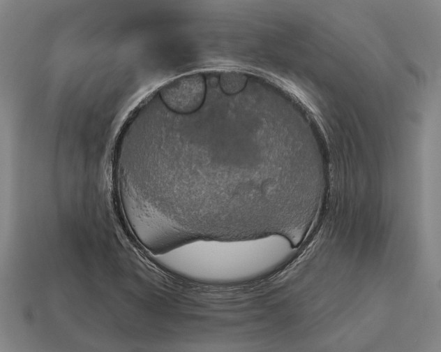 X0000115091318200911101515