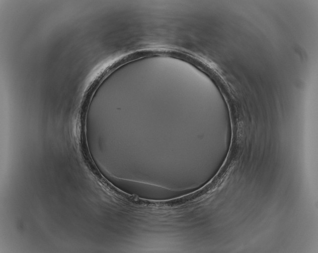 X0000115091319200911101515