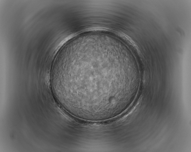 X0000115091321200911101515