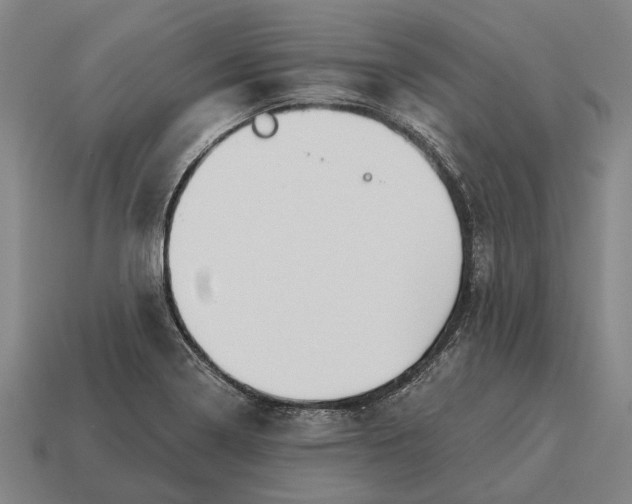 X0000115091322200911101515
