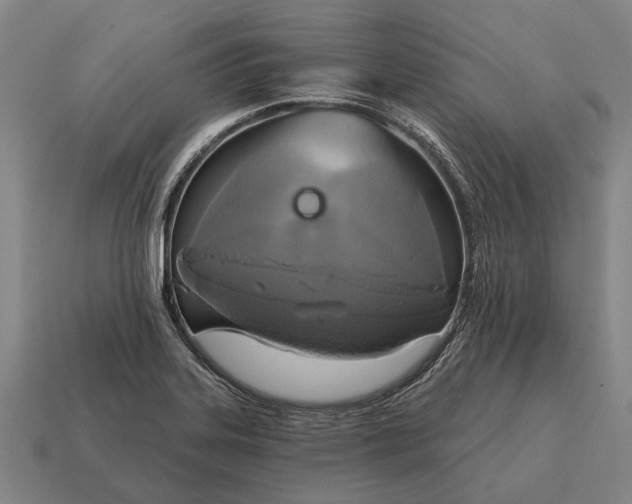 X0000115091323200911101515