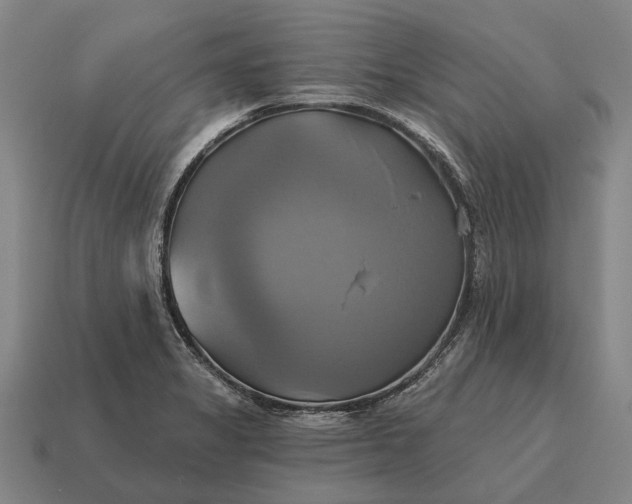 X0000115091325200911101515
