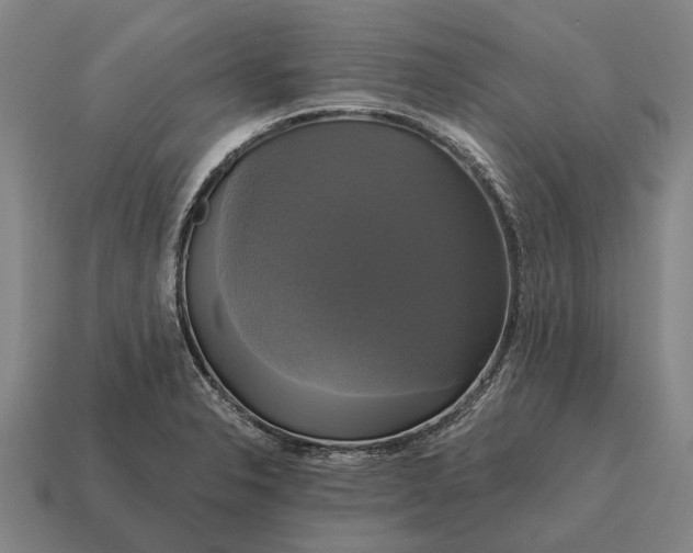 X0000115091326200911101515