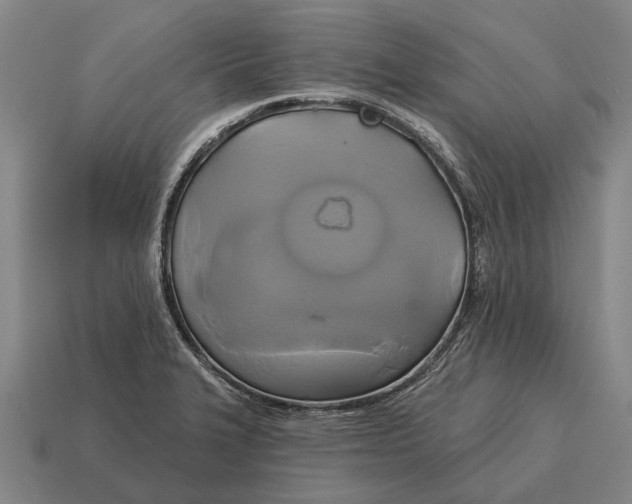 X0000115091327200911101515