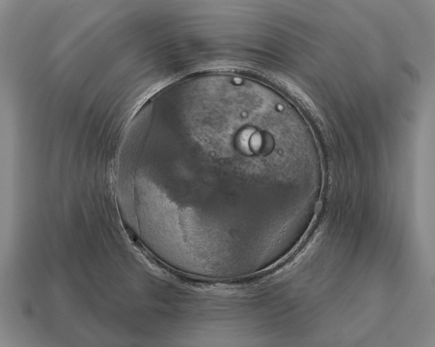 X0000115091329200911101515