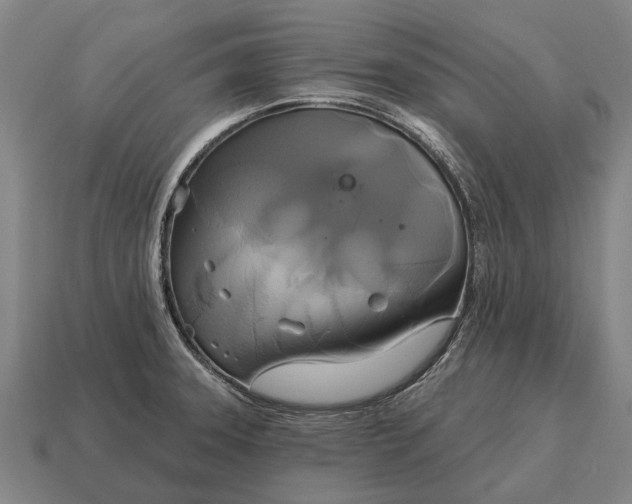X0000115091331200911101515
