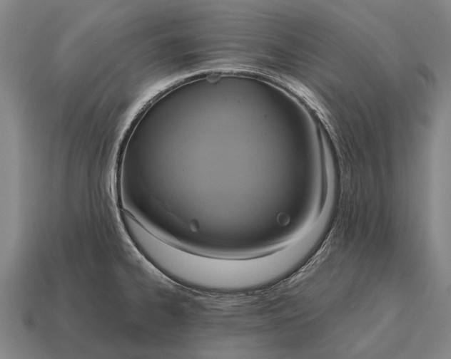X0000115091334200911101515