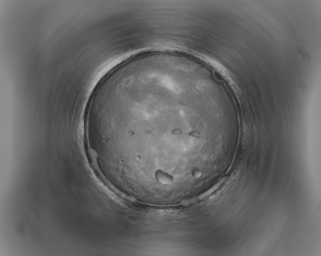 X0000115091335200911101516