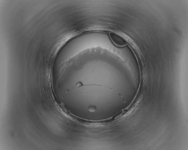 X0000115091337200911101516