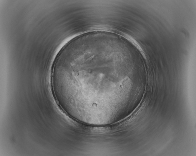 X0000115091339200911101516