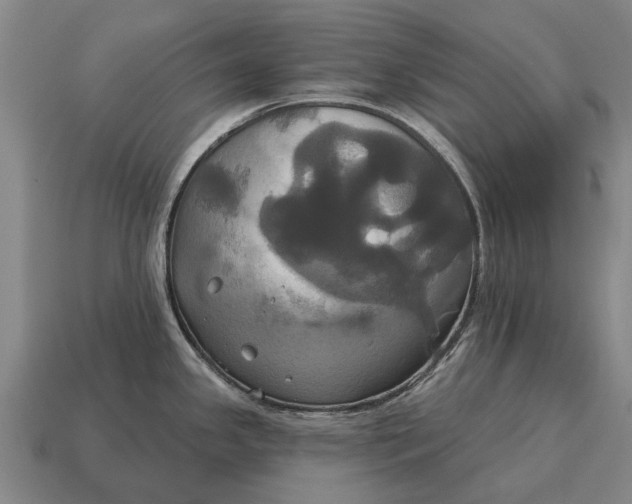 X0000115091341200911101516