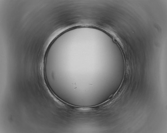 X0000115091343200911101516