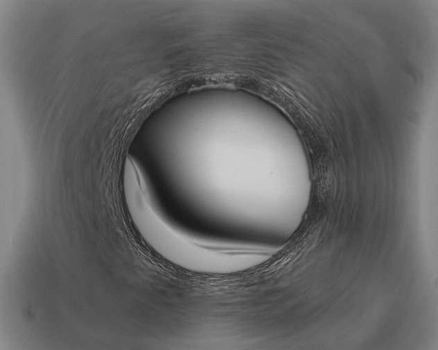 X0000115091345200911101515