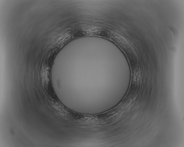 X0000115091346200911101515