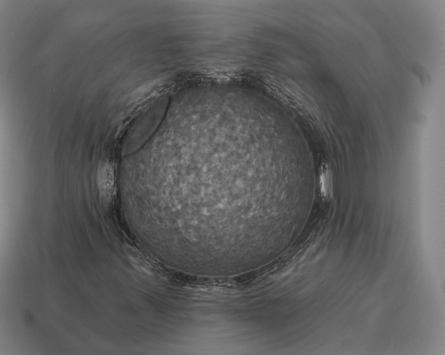 X0000115091347200911101515
