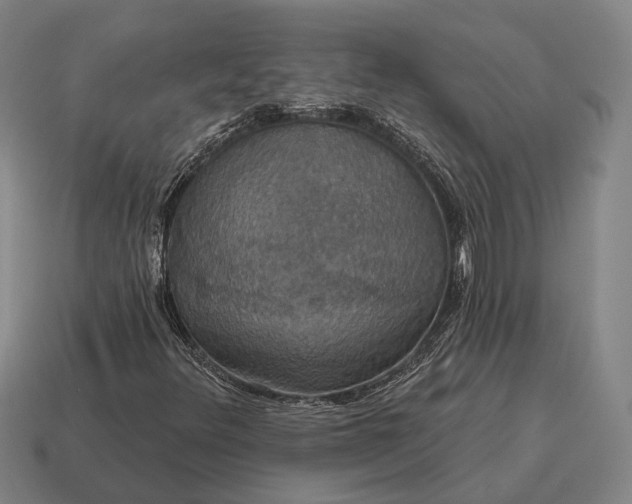 X0000115091348200911101515