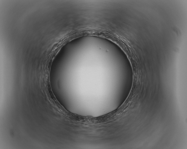 X0000115091349200911101515
