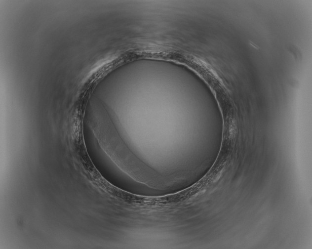 X0000115091350200911101515