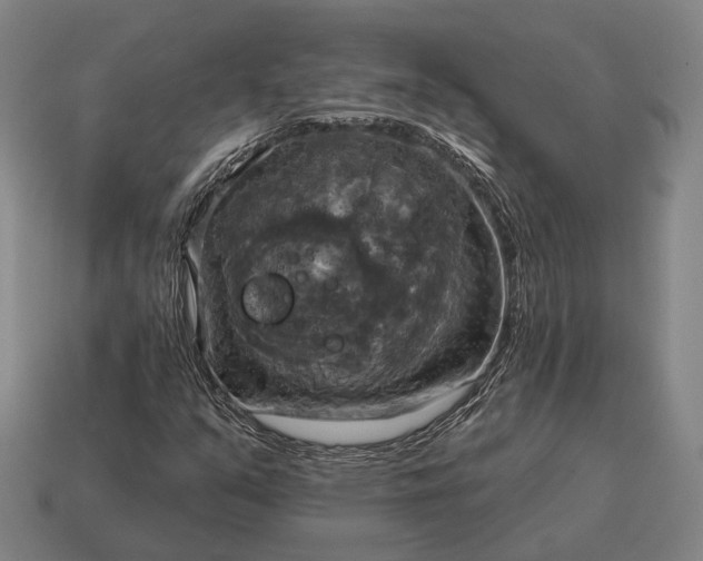 X0000115091351200911101515