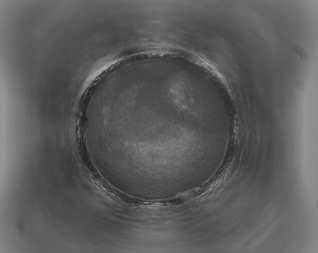 X0000115091352200911101515