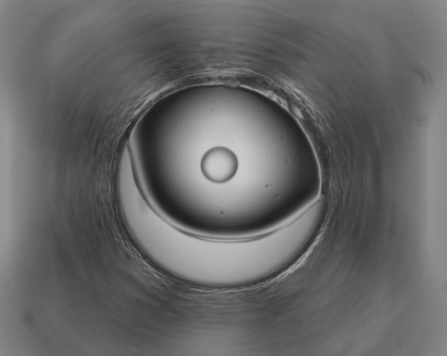 X0000115091353200911101515