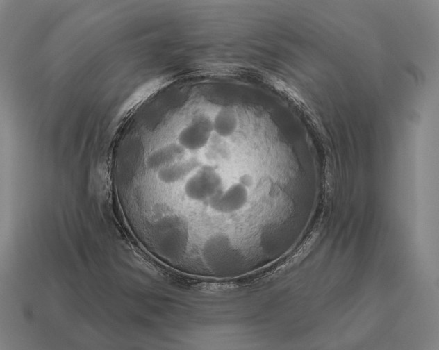 X0000115091354200911101515