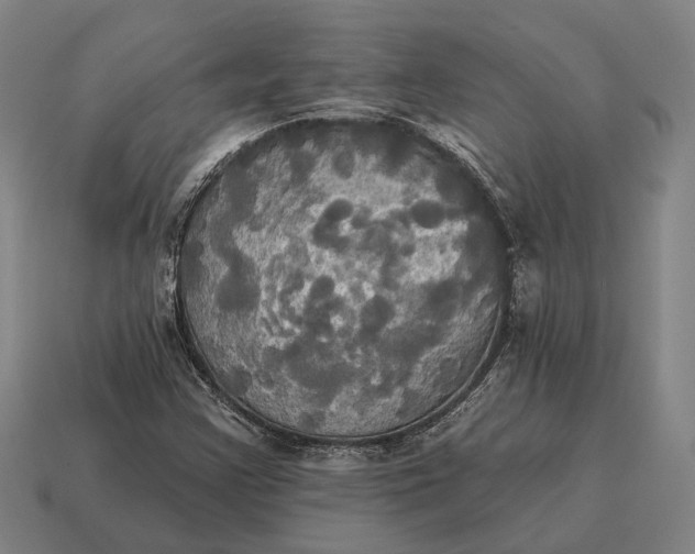 X0000115091355200911101515