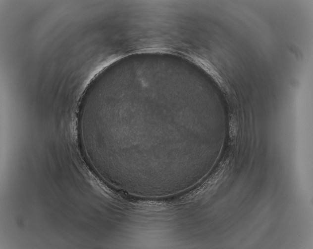 X0000115091356200911101515