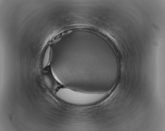 X0000115091357200911101515