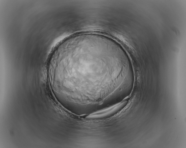 X0000115091358200911101515