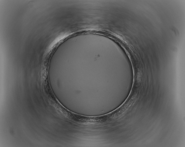 X0000115091359200911101515