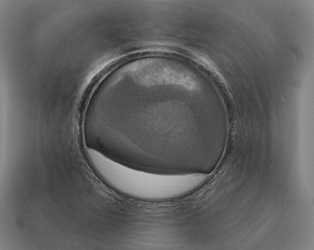 X0000115091360200911101515