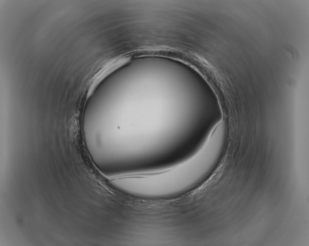 X0000115091361200911101515