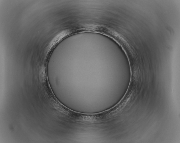 X0000115091362200911101515