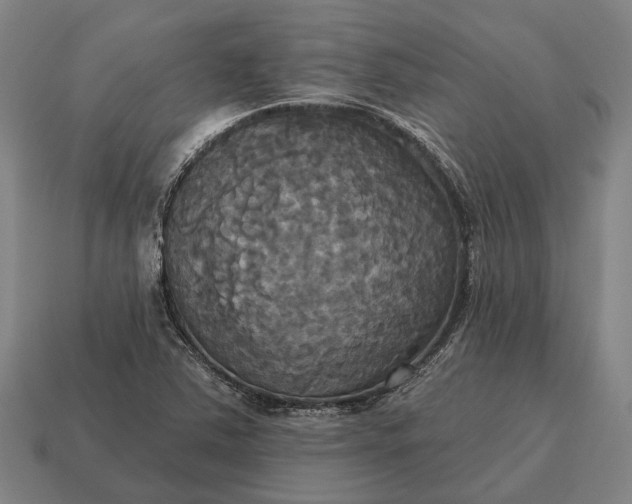 X0000115091363200911101515