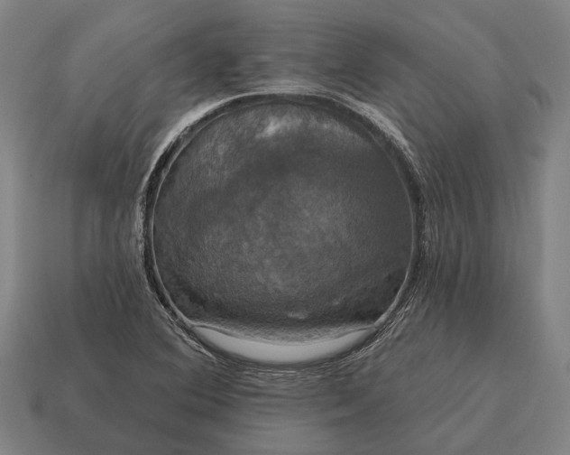 X0000115091364200911101515