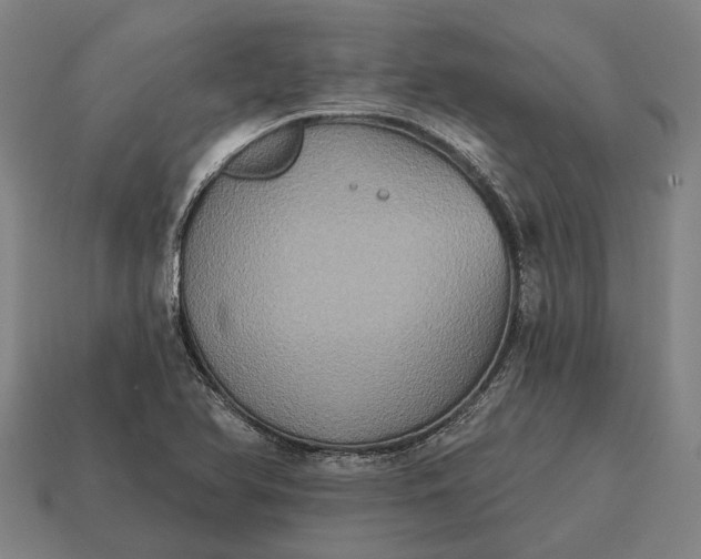 X0000115091366200911101515