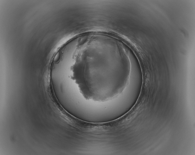 X0000115091367200911101515