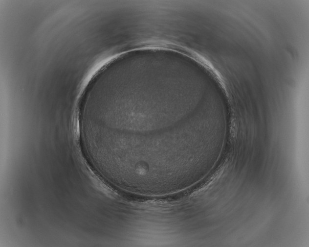 X0000115091368200911101515